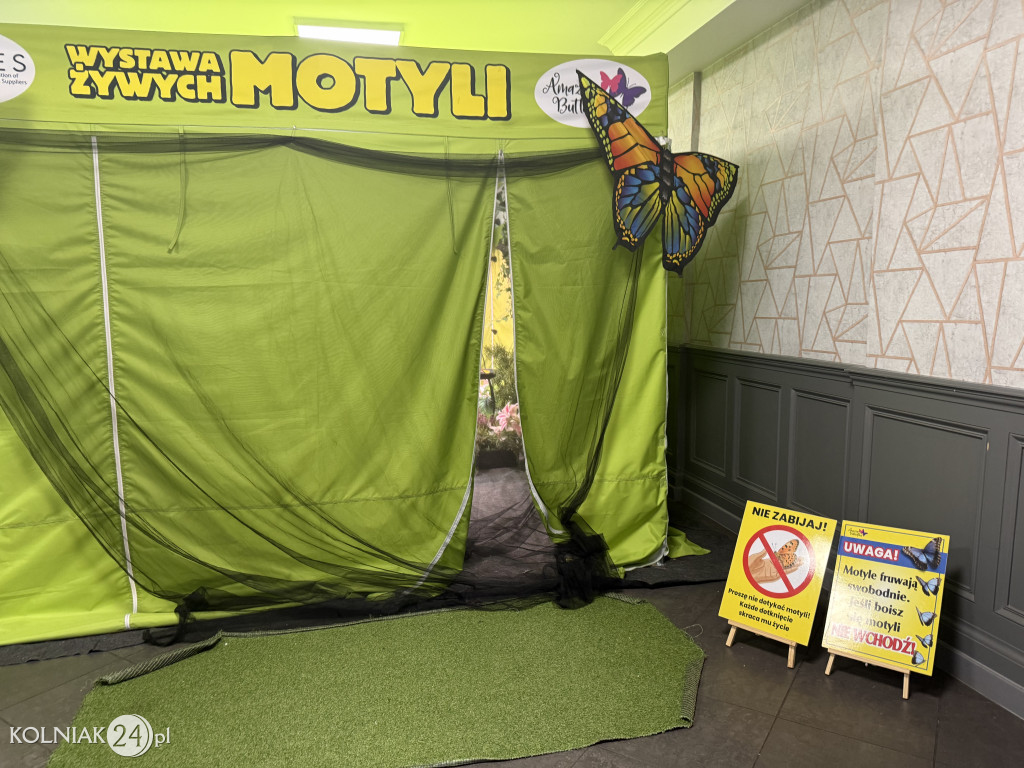Wystawa Żywych Motyli