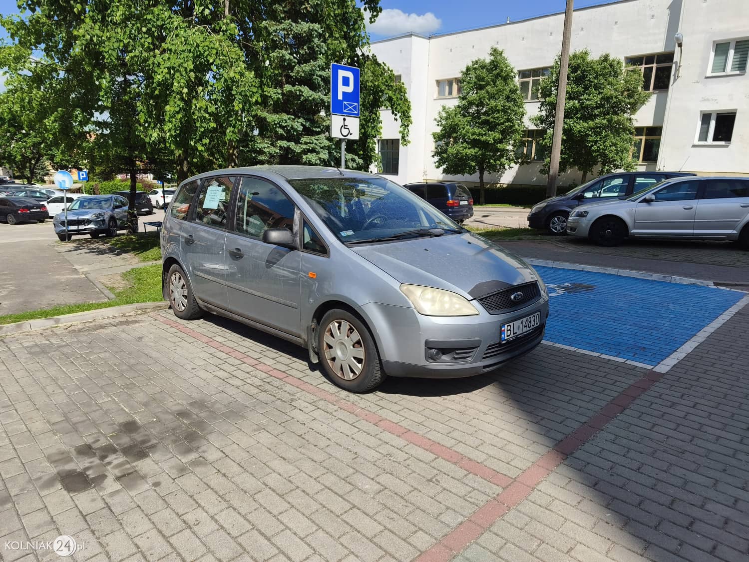 Zdjęcie