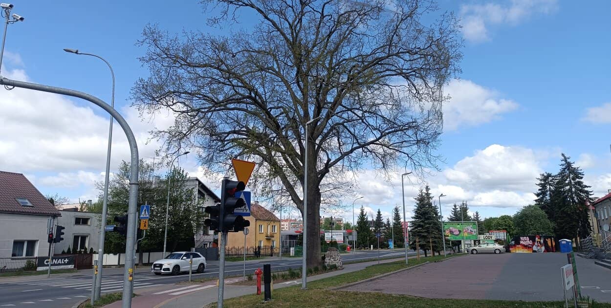 Zdjęcie