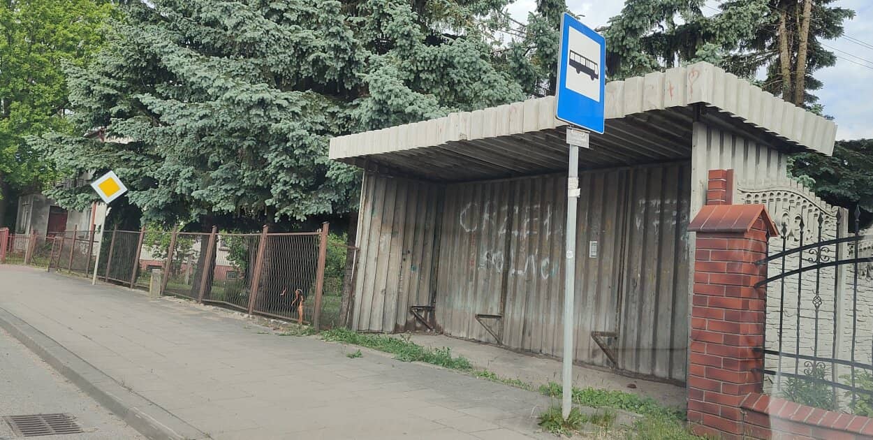 Zdjęcie