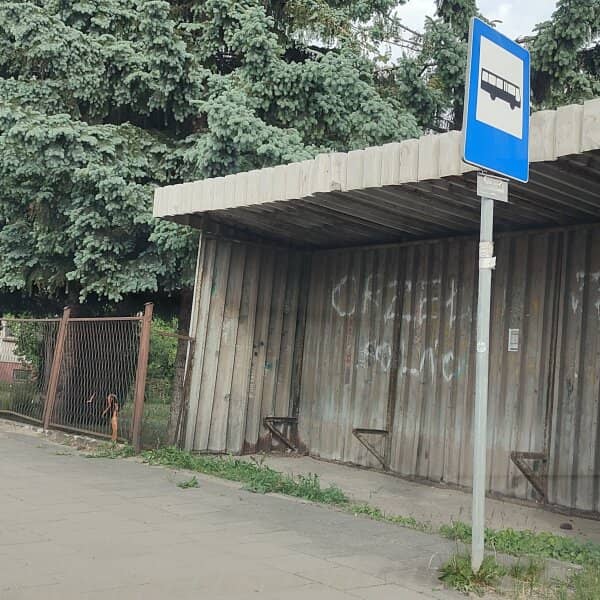 Zdjęcie