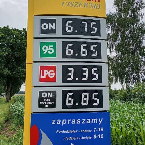 Zdjęcie