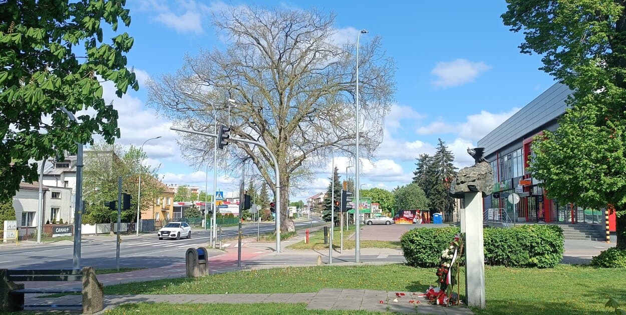 Zdjęcie