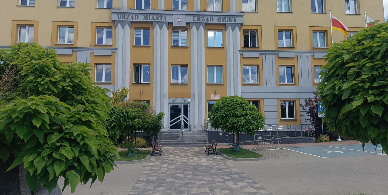 Zdjęcie
