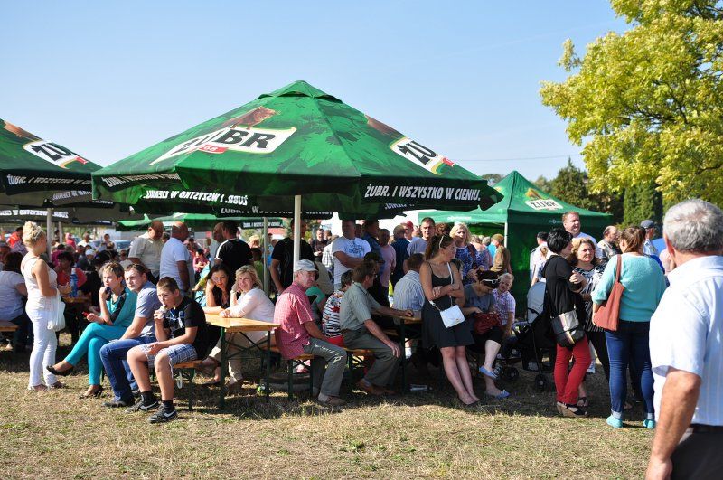 Grabowski Piknik Historyczno-Sportowy. Największą atrakcją była rekonstrukcja historyczna (obejrzyj zdjęcia)