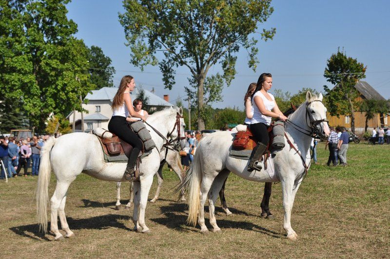 Grabowski Piknik Historyczno-Sportowy. Największą atrakcją była rekonstrukcja historyczna (obejrzyj zdjęcia)