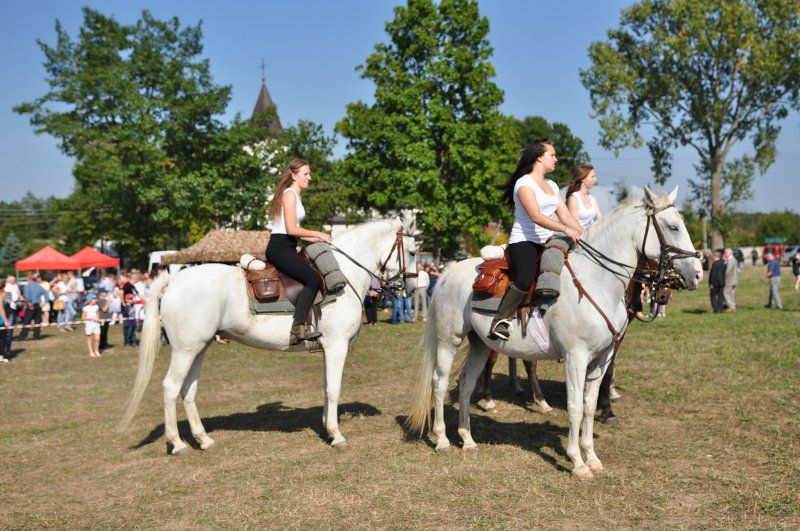 Grabowski Piknik Historyczno-Sportowy. Największą atrakcją była rekonstrukcja historyczna (obejrzyj zdjęcia)