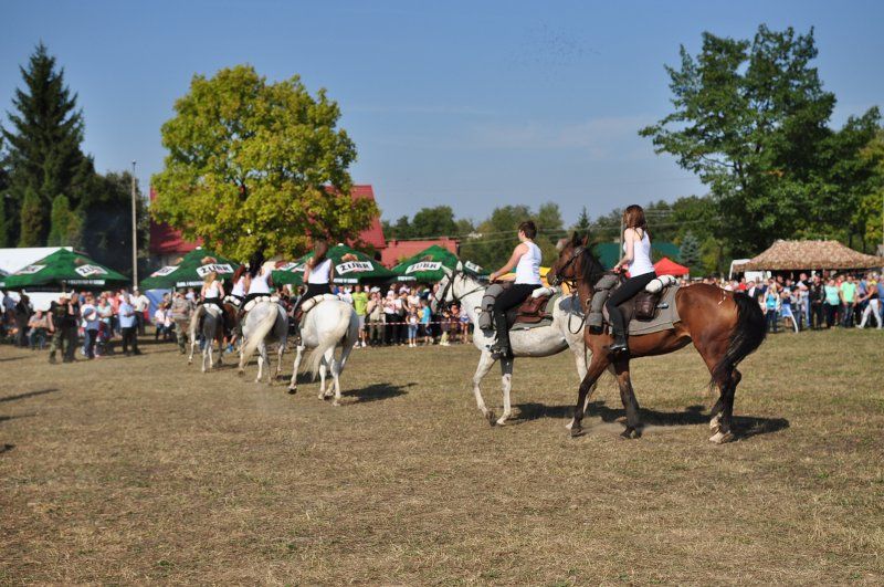Grabowski Piknik Historyczno-Sportowy. Największą atrakcją była rekonstrukcja historyczna (obejrzyj zdjęcia)