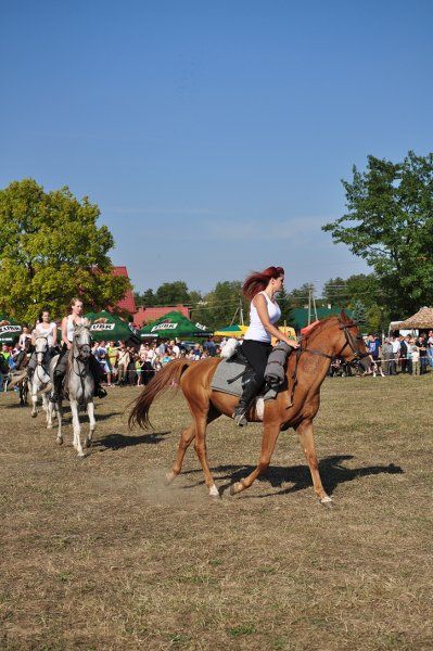 Grabowski Piknik Historyczno-Sportowy. Największą atrakcją była rekonstrukcja historyczna (obejrzyj zdjęcia)