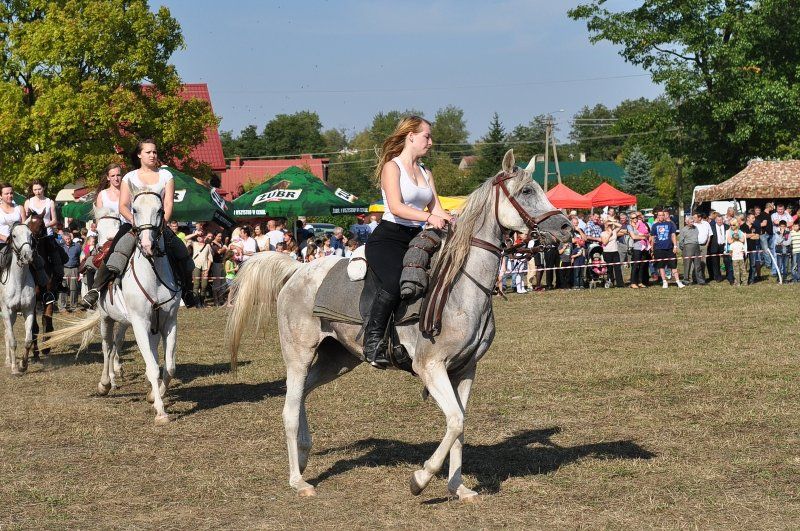 Grabowski Piknik Historyczno-Sportowy. Największą atrakcją była rekonstrukcja historyczna (obejrzyj zdjęcia)