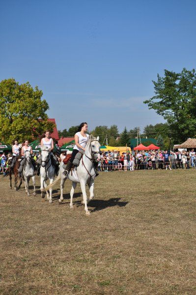 Grabowski Piknik Historyczno-Sportowy. Największą atrakcją była rekonstrukcja historyczna (obejrzyj zdjęcia)