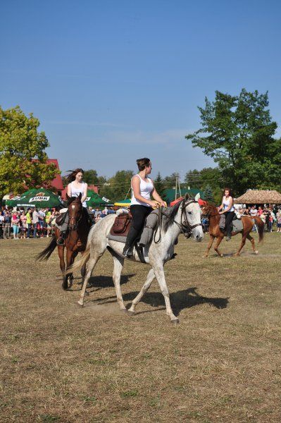 Grabowski Piknik Historyczno-Sportowy. Największą atrakcją była rekonstrukcja historyczna (obejrzyj zdjęcia)