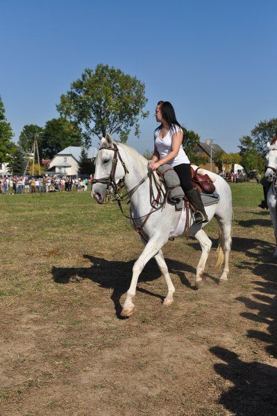 Grabowski Piknik Historyczno-Sportowy. Największą atrakcją była rekonstrukcja historyczna (obejrzyj zdjęcia)