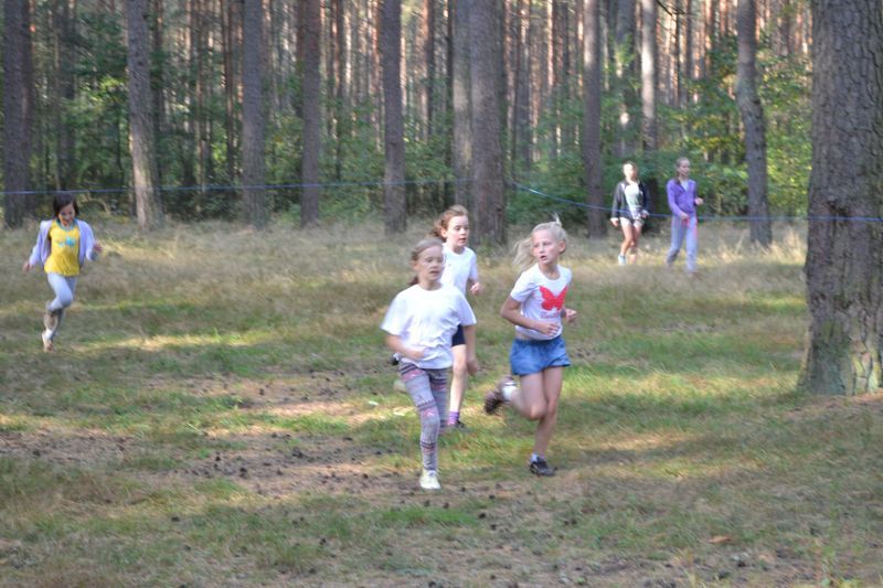 Kozioł: niesamowita walka młodych biegaczy