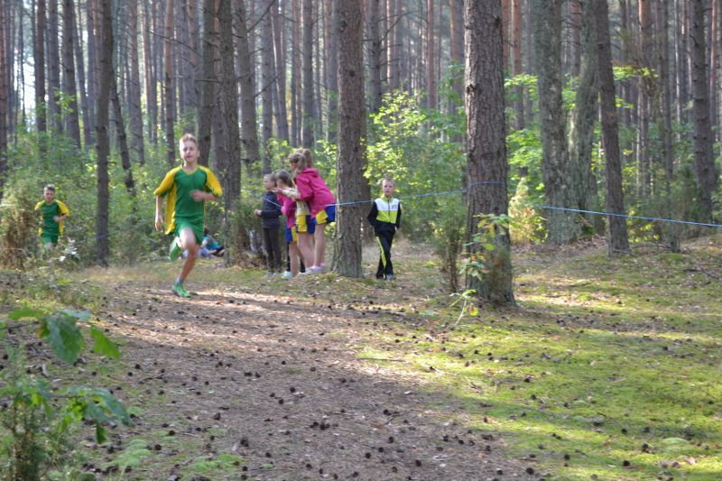 Kozioł: niesamowita walka młodych biegaczy