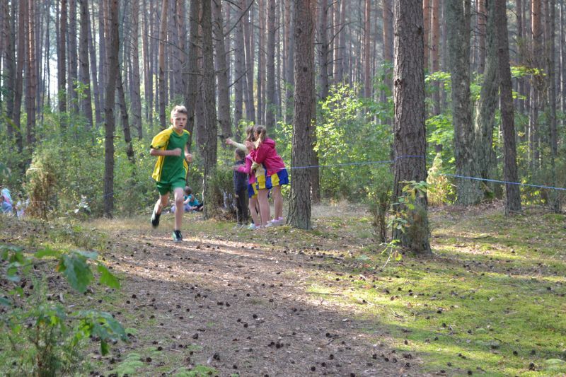 Kozioł: niesamowita walka młodych biegaczy