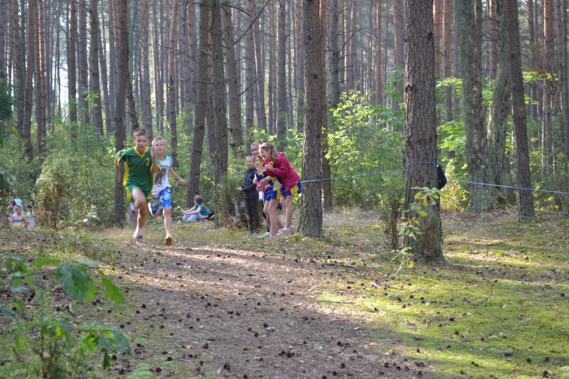 Kozioł: niesamowita walka młodych biegaczy
