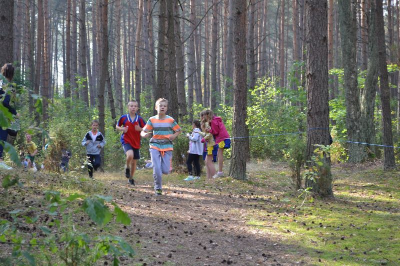 Kozioł: niesamowita walka młodych biegaczy