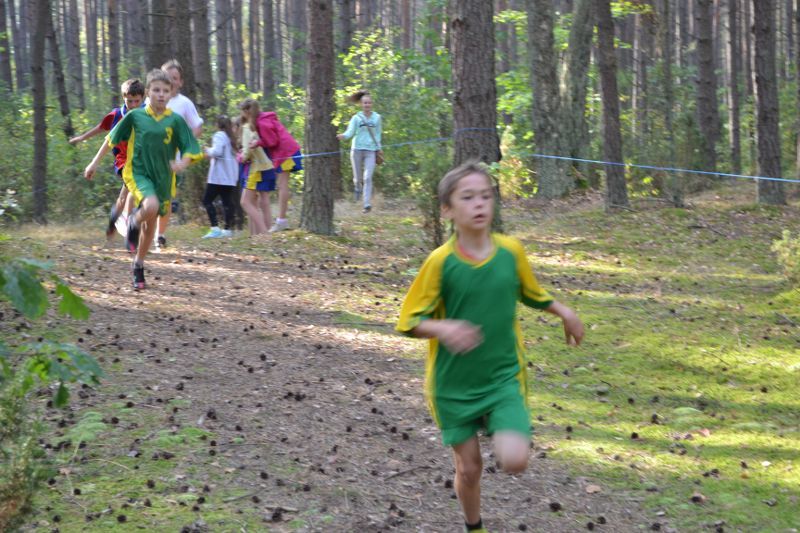 Kozioł: niesamowita walka młodych biegaczy