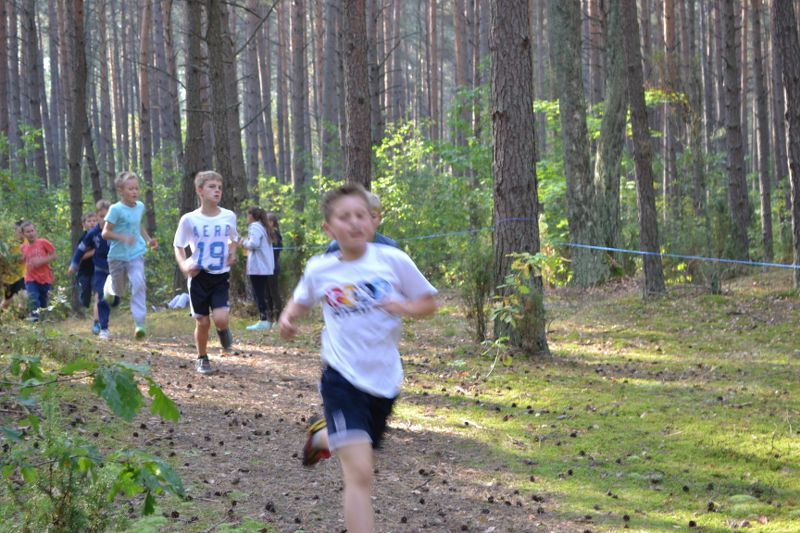 Kozioł: niesamowita walka młodych biegaczy