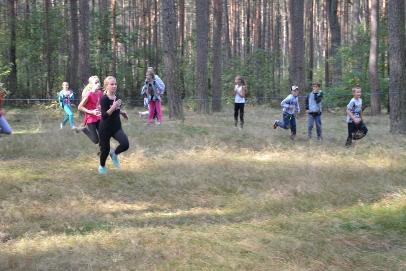 Kozioł: niesamowita walka młodych biegaczy