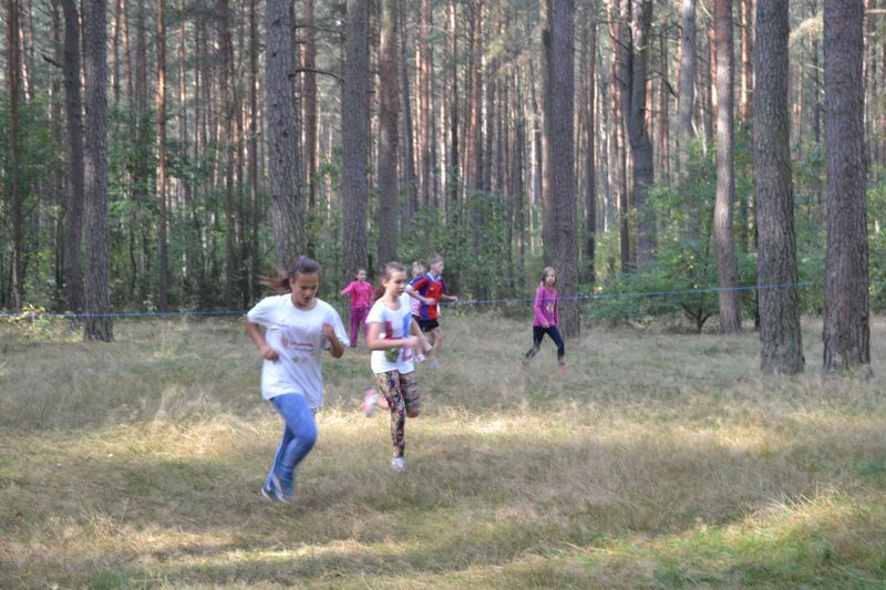 Kozioł: niesamowita walka młodych biegaczy