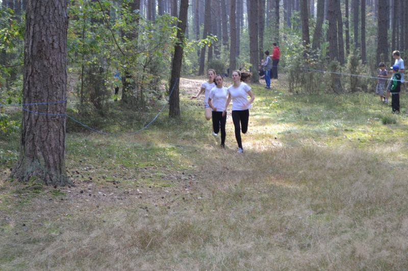 Kozioł: niesamowita walka młodych biegaczy