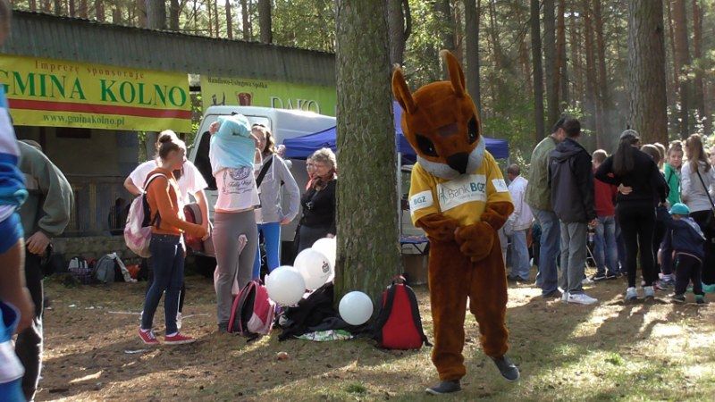 Jubileuszowe Kolneńskie  Biegi  Jesieni (zobacz zdjęcia i video)