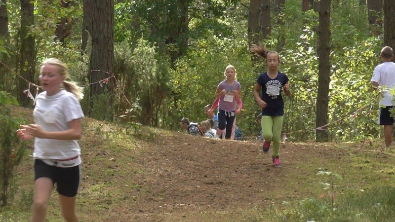 Jubileuszowe Kolneńskie  Biegi  Jesieni (zobacz zdjęcia i video)