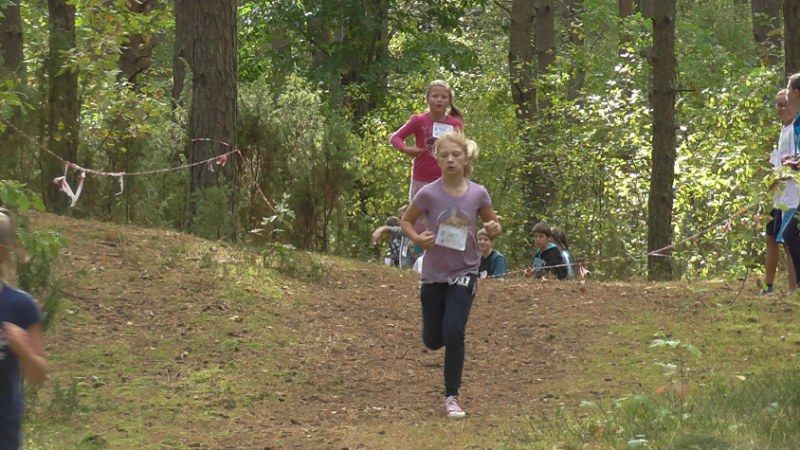 Jubileuszowe Kolneńskie  Biegi  Jesieni (zobacz zdjęcia i video)