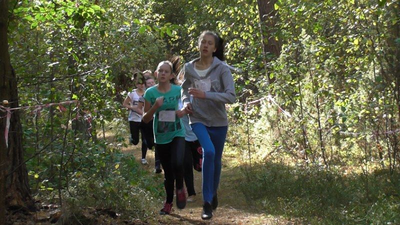 Jubileuszowe Kolneńskie  Biegi  Jesieni (zobacz zdjęcia i video)