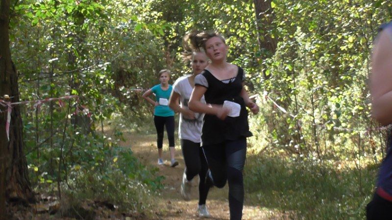Jubileuszowe Kolneńskie  Biegi  Jesieni (zobacz zdjęcia i video)