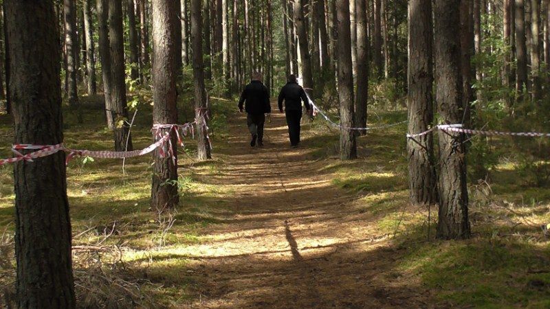 Jubileuszowe Kolneńskie  Biegi  Jesieni (zobacz zdjęcia i video)