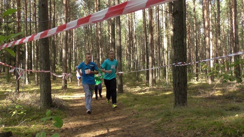 Jubileuszowe Kolneńskie  Biegi  Jesieni (zobacz zdjęcia i video)