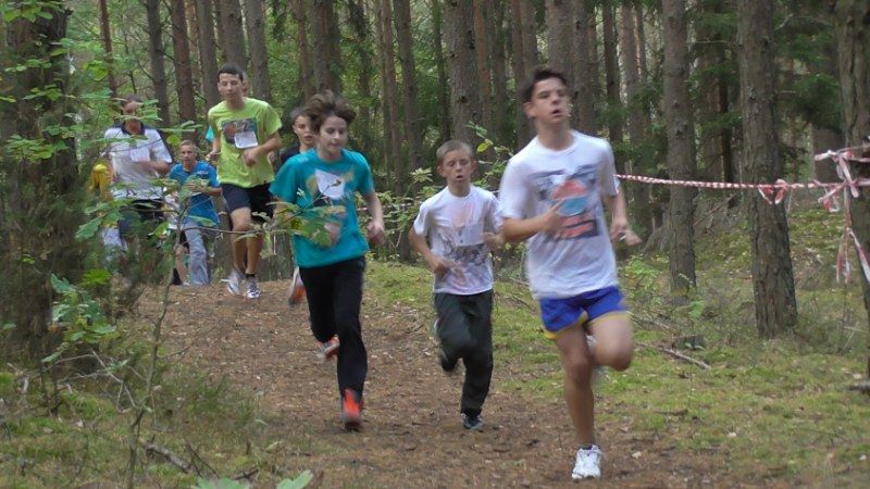 Jubileuszowe Kolneńskie  Biegi  Jesieni (zobacz zdjęcia i video)