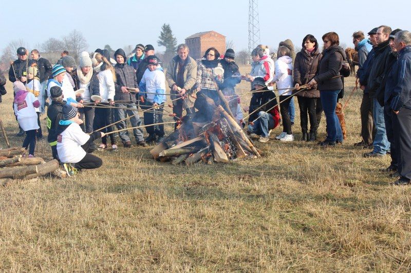 Tropem wilczym biegali również w Grabowie
