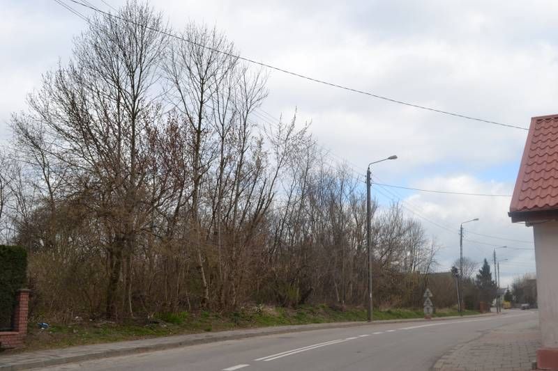 Niezbyt ciekawy widok