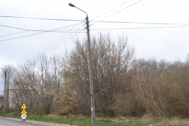 Niezbyt ciekawy widok