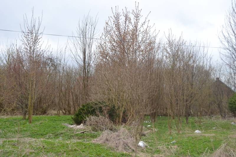 Niezbyt ciekawy widok