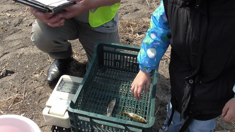 Pasjonaci wędkarstwa nie próżnowali. Ryba jednak brała dzisiaj tak sobie