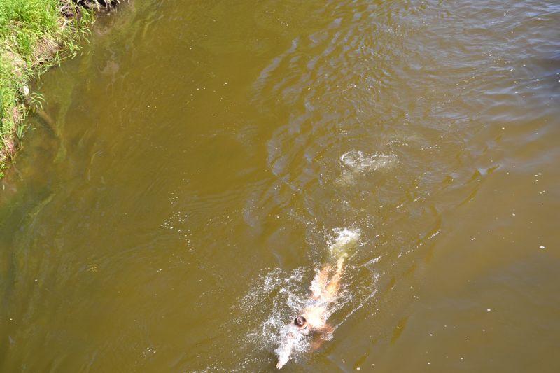 Pierwszy Triathlon za nami. To może być w przyszłości wizytówka naszego regionu