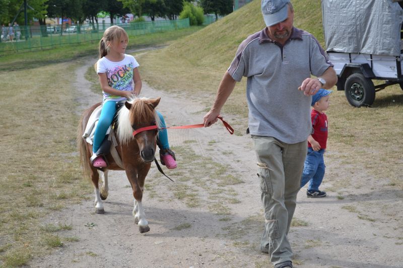 Zobacz  zdjęcia z festynu