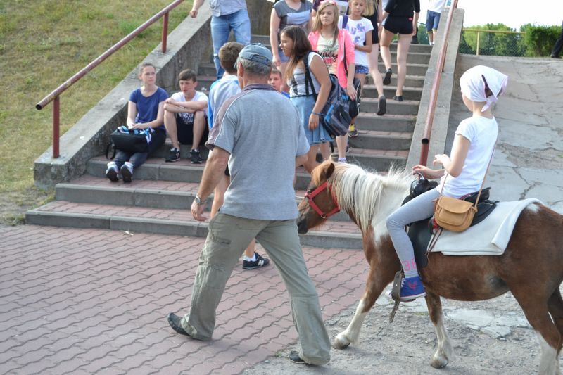 Zobacz  zdjęcia z festynu