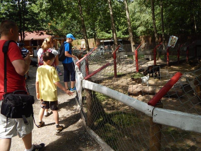 Rozrywka i Edukacja: Sposób na wakacje!