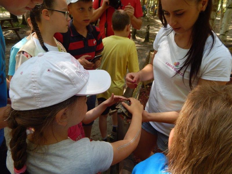 Rozrywka i Edukacja: Sposób na wakacje!