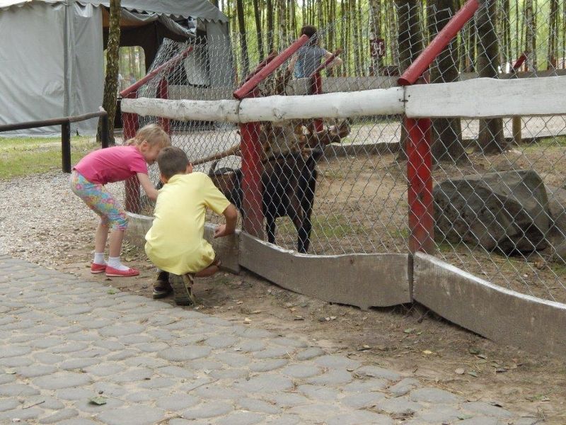 Rozrywka i Edukacja: Sposób na wakacje!