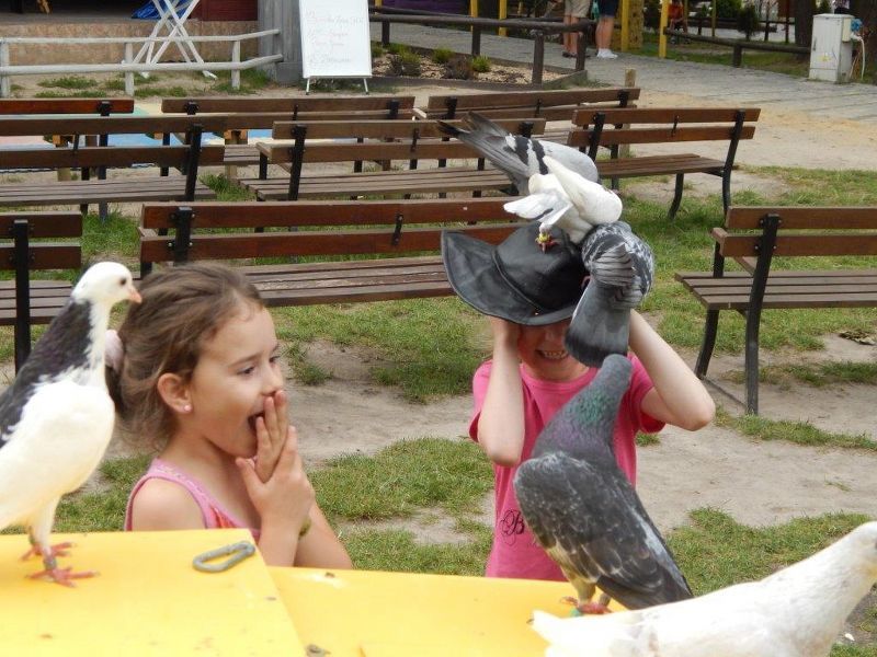 Rozrywka i Edukacja: Sposób na wakacje!