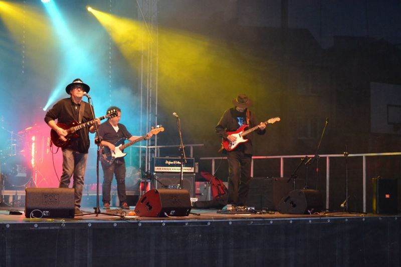 Szczytny cel, znakomity koncert i pogoda do kitu (zobacz zdjęcia)