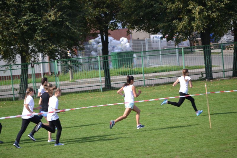 Przełajowe Biegi Jesieni organizowane przez kolneński Ogólniak na dobre weszły już do kalendarza imprez sportowych