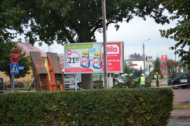 ZAKRES PRAC WYKONANYCH PRZY DĘBIE ? POMNIKU PRZYRODY ROSNĄCYM W KOLNIE (zobacz foto)